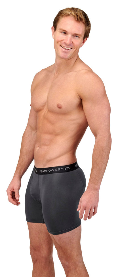 Men's 4" Inseam Bamboo Rayon Boxer Briefs - 4 Pack