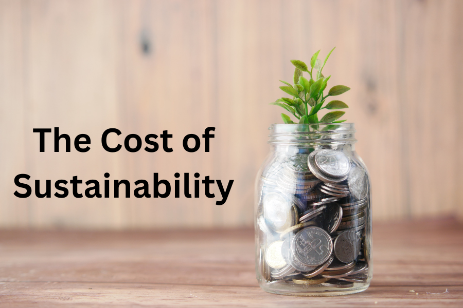 Frugal Sustainability
