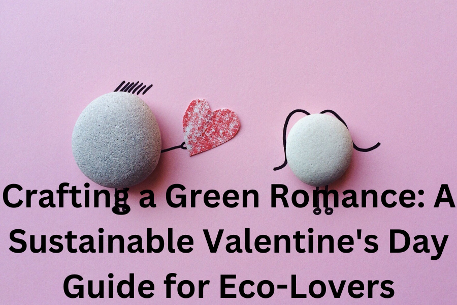 sustainable Valentine's Day gifts for her