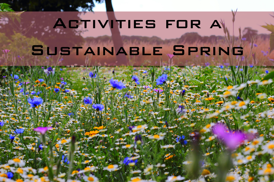 How can we be sustainable in spring?