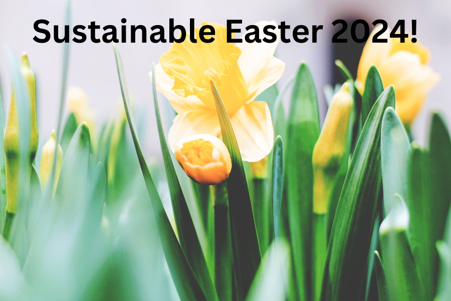 How can we be sustainable at Easter? 