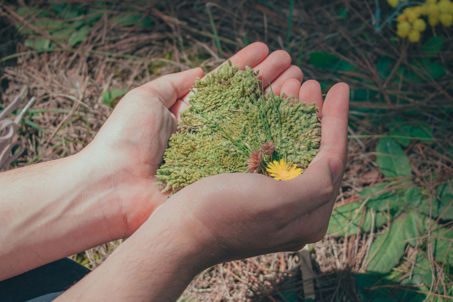 Eco-Friendly Mothers Day