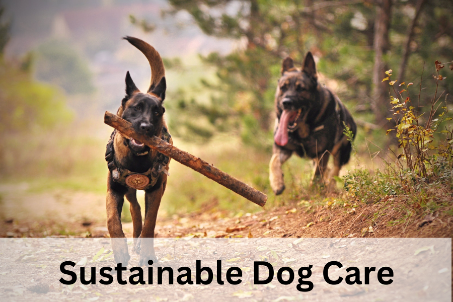 Sustainable Dog