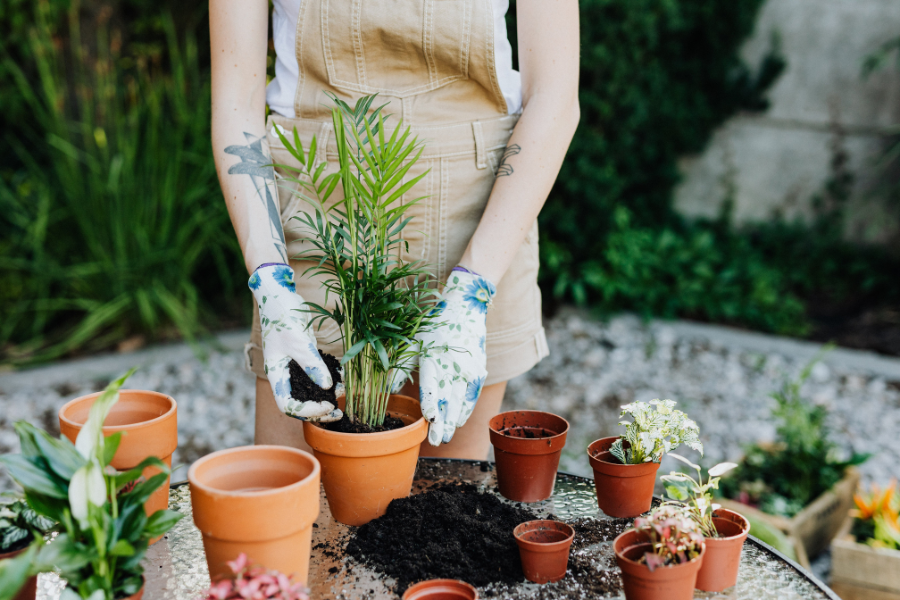 Sustainable Mothers Day Activities